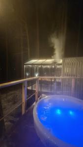 GaujaClub - our BOSE and Bang&Olufsen lofts on a lake