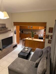 Gellis Village house Meteora