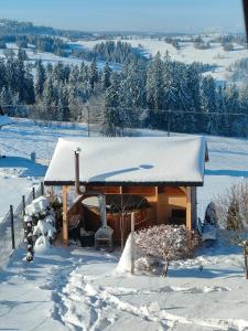 Domek z jacuzzi Tatrzańskie Serce