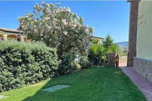 Appartement Baia delle Mimose i6 img25