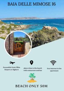 Appartement Baia delle Mimose i6 img29