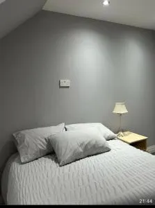 Cosy Nest in London - 亨顿