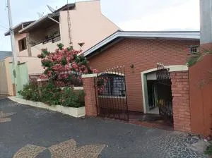 IPÊ florido - 保利尼亚