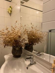 IL NIDO DI RONDINE