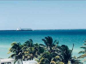 Apartments Artistic Mayan Accommodation - AMA Yucatan