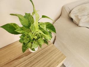 HOMEis garden villa Sattahip