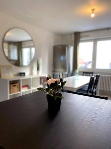 Appartements 10min Bus Strasbourg centre-Parking Prive-WiFi-TV : photos des chambres
