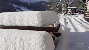 Apartmán U Pekařů