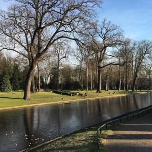 Elegant 1-BR Retreat in Ilford Centre