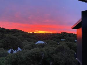 Beach Escape Penthouse 2 Bdr Apartment