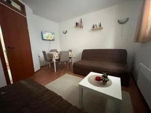 Apartman Cogan - 100m from Gondola - Brzece - Mramor
