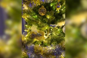 Lapland city apartment