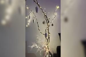 Lapland city apartment