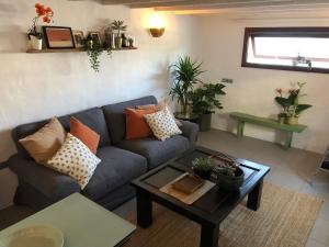 Balcón Botánico - Shared Pool - Central Island Location - 10 mins drive to Famara and La Santa