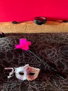 Love hotels Love Room du Moulin Rose : Appartement avec Terrasse