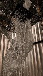 Resting Rabbit Hostel