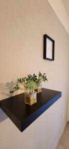 DEPTO MAR DE AJO PLAZA