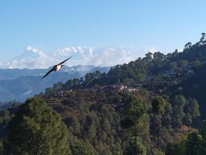 Himalaya View