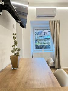 Under Castle Apartment