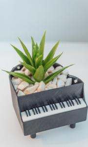 Apartman Arija - Self Check In