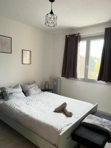 CICONIA : CENTRE-VILLE MULHOUSE, PARC NOUVEAUX BASSINS A PROXIMITE