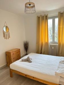 CICONIA : CENTRE-VILLE MULHOUSE, PARC NOUVEAUX BASSINS A PROXIMITE