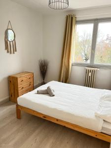 CICONIA : CENTRE-VILLE MULHOUSE, PARC NOUVEAUX BASSINS A PROXIMITE