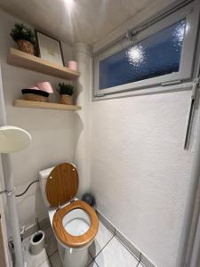 CICONIA : CENTRE-VILLE MULHOUSE, PARC NOUVEAUX BASSINS A PROXIMITE