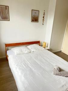 CICONIA : CENTRE-VILLE MULHOUSE, PARC NOUVEAUX BASSINS A PROXIMITE