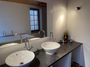 Apartmány Telnice - Medorhof