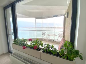 Lake House - Bucuresti