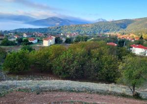 Τα πέτρινα στο Σκεπαστό