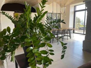 Villas Ancien domaine de Chartreux avec jacuzzi : photos des chambres