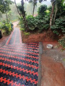 Green Land Estate Homestay 5 Rooms With Garden View