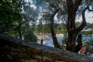 Aglaia Studio