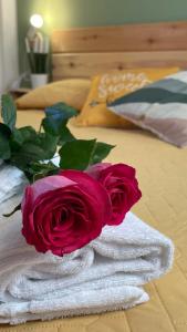 Residence La Rosa img67