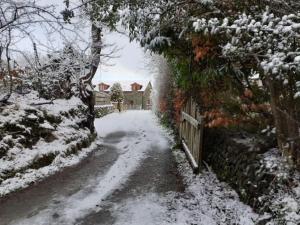 Mwsogl - Luxurious Family Fishing Lodge Near Aberaeron With Private Fishing