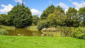 Mwsogl - Luxurious Family Fishing Lodge Near Aberaeron With Private Fishing