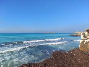 دور كامل في فيلا علي البحر مباشره شهر العسل العجمي الاسكندريه