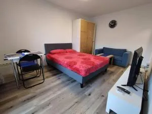 Studio Apartment in City Center - 辛德尔芬根