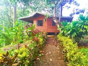 CASITAS GINGER - Pocares