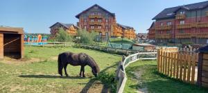 Tatragolf - Apartmán Milan K 204