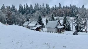 Domki Potok - Noclegi Bieszczady