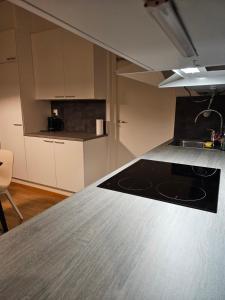 Lapland City Retreat - Sauna & Comfort near Center