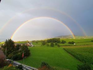 Apartment in Swiss Chalet Träumli