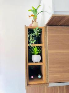 Sejours chez l'habitant 1-Chambre lumineuse (Paris-Orly) : photos des chambres