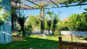 استراحه أحمد سليم - 伊斯梅利亚