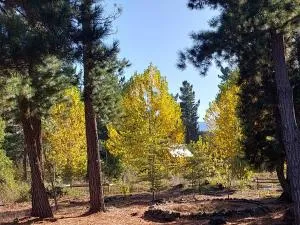 Casa Conguillio en Melipeuco - Refugio Llaima