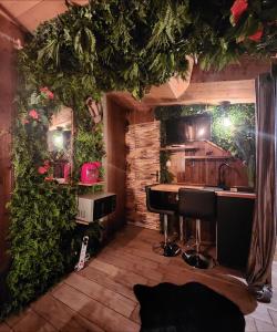 INDIANA JONES à 10 minutes du Parc Disneyland (taille chambre)