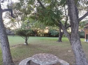 Don Joel - Empedrado